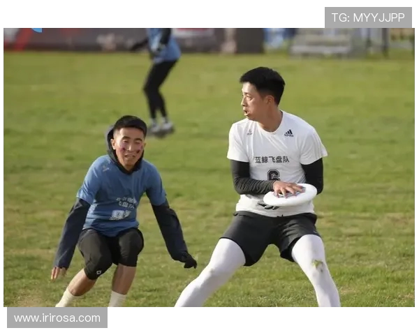 飞盘力量排行榜揭晓杭州飞盘队荣获第三名展现强劲实力